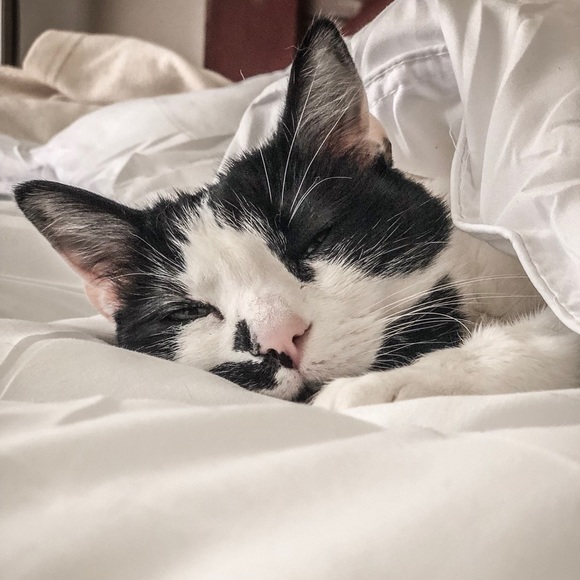 Meet your Posher, Andrea - Picture 5 of 16